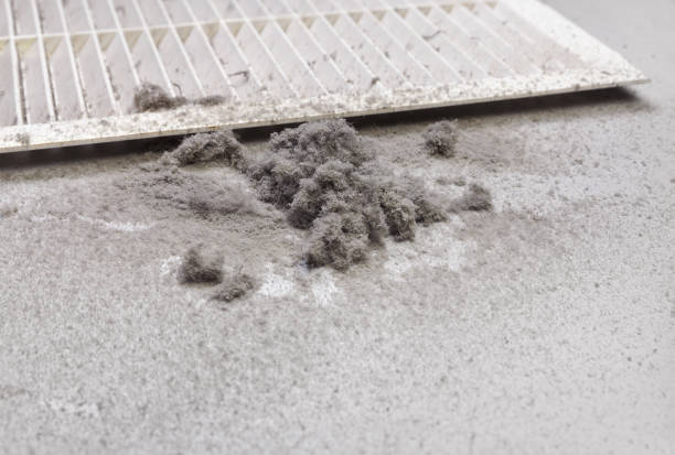 Best Air Duct Cleaning Near Me in Riverside, IA