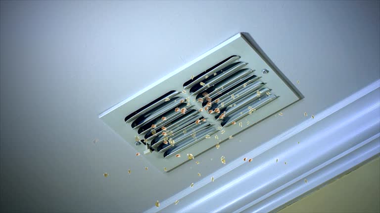 Best Affordable HVAC Duct Cleaning  in Riverside, IA