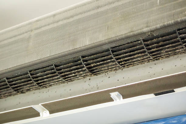 Best Air Duct Cleaning Near Me  in Riverside, IA